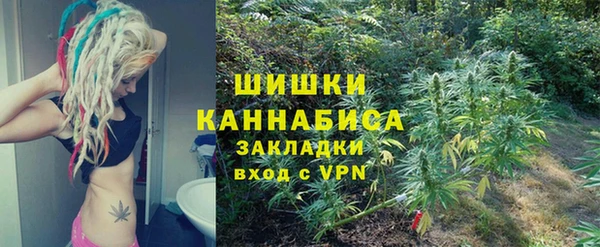 PSILOCYBIN Лагань