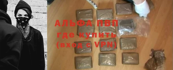 PSILOCYBIN Лагань