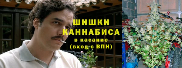 PSILOCYBIN Лагань