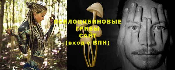 кокаин колумбия Ладушкин