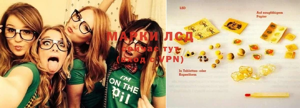 PSILOCYBIN Лагань